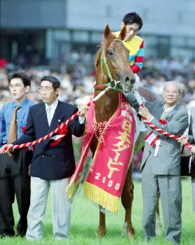 00年ダービー馬アグネスフライト死す 26歳、老衰で 社台F・東礼治郎場