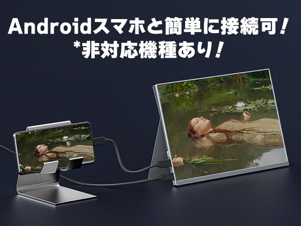楽天市場】モバイルモニター VisionOwl 10.5インチ 超軽量249g 高輝度
