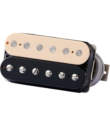 Amazon | Gibson / 490R 