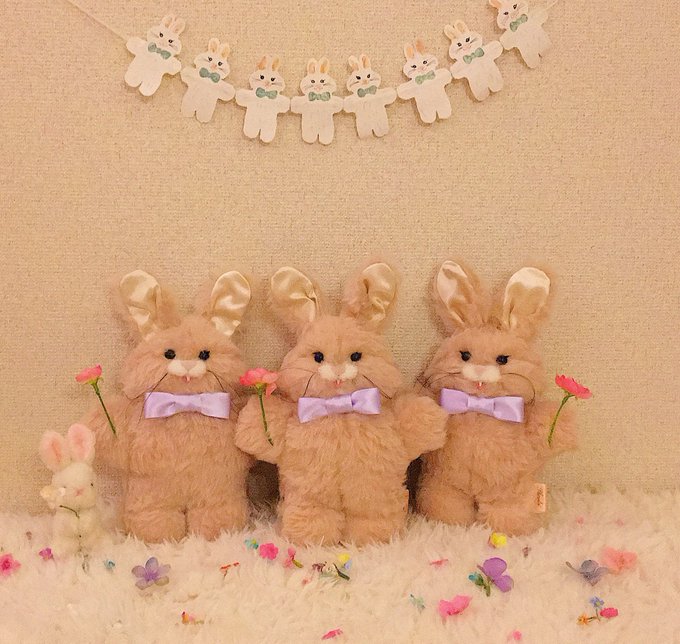 2020.2月の NEW COLOR うさきちぬいぐるみのご紹介 : Phraula