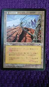 不毛の大地/Wasteland》[TMP] 土地U 2枚セット Amazon.co.jp: MTG 不毛