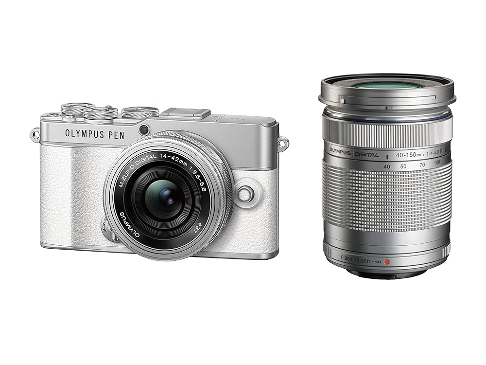OLYMPUS PEN-D オーバーホール済 110057 OLYMPUS PEN-D オーバーホール