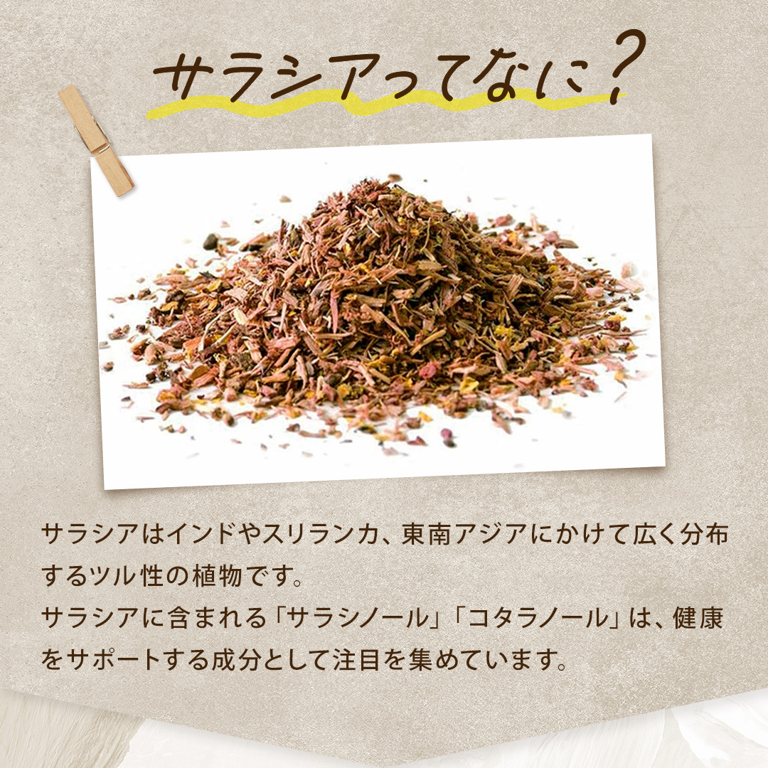 ROTTS サラシア 100% サプリ Dietサラシア 30カプセル 糖質制限
