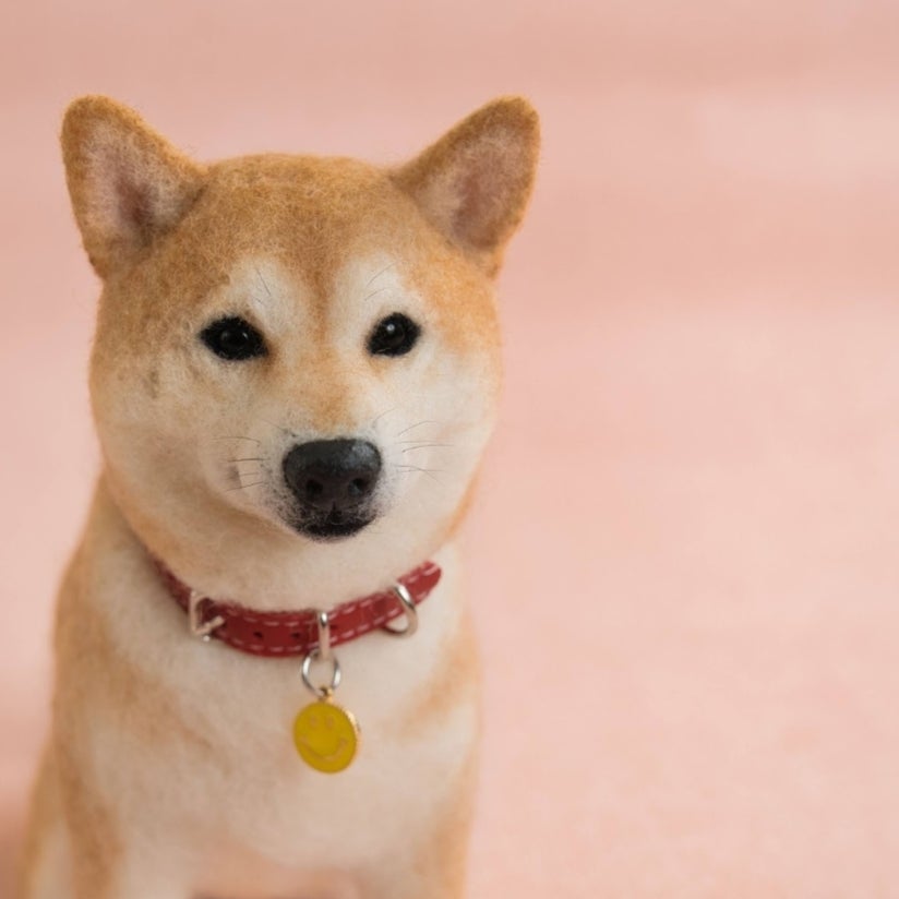 柴犬 羊毛フェルト ハンドメイド No.105 柴犬 羊毛フェルト