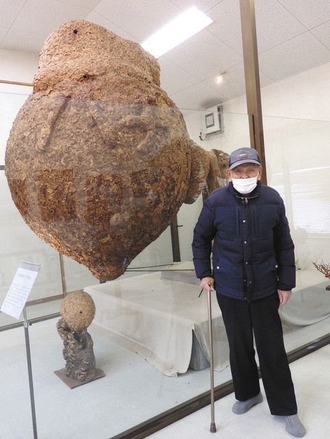 お宝発見！＞ （3）ハチ博物館の巨大な蜂の巣：中日新聞Web