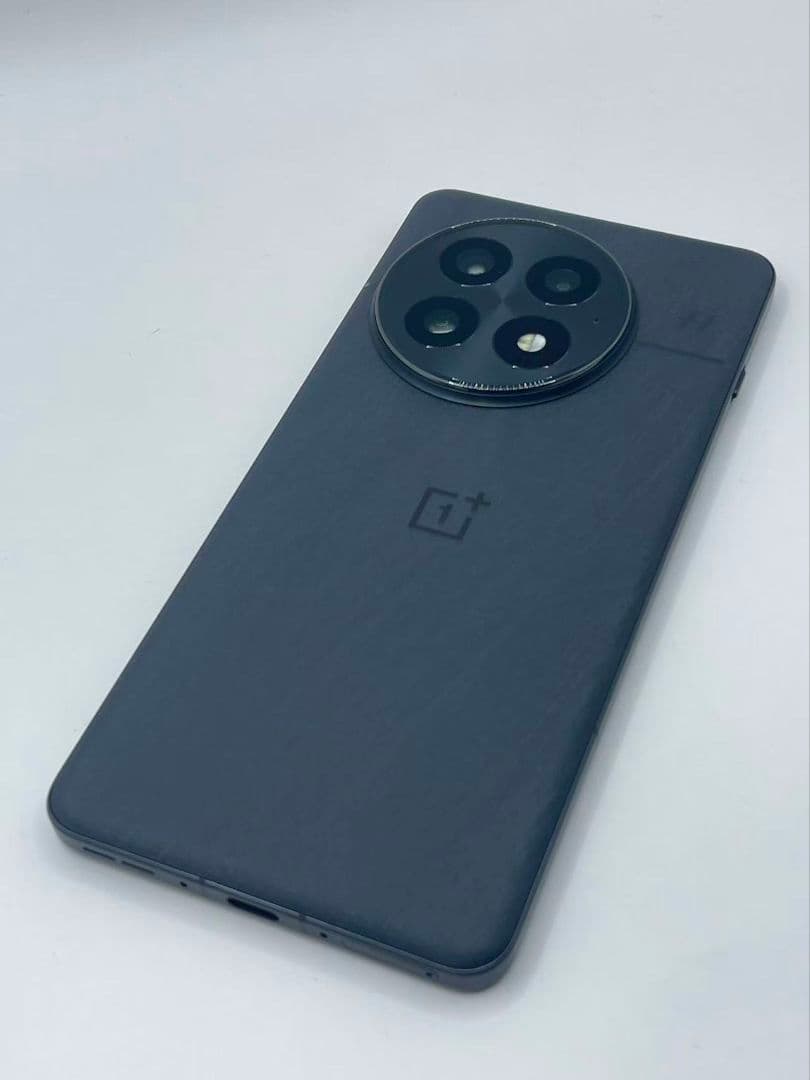 OnePlus 13 12/256GB SIMフリー ブラック 中国版 OnePlus 13 12/256GB SIMフリー ブラック 中国版 oneplus13 黒 12gb