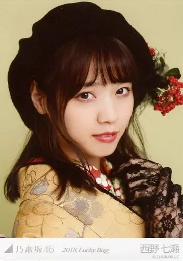 乃木坂46 生写真 2018 LuckyBag(2018 福袋) 乃木坂46 生写真 2018