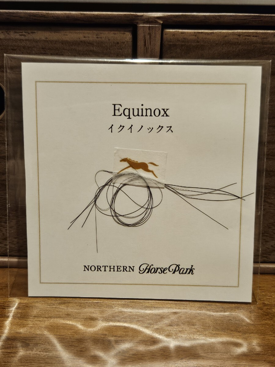 イクイノックス 実使用 調教 蹄鉄 鬣 一本付き ② イクイノックス】実