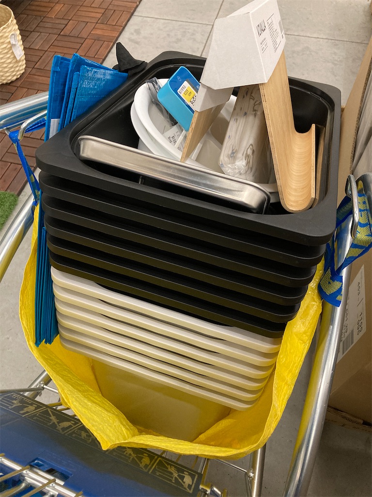 IKEA購入品】メダカ専用容器、トロファストを確保せよ！ - おとと日和
